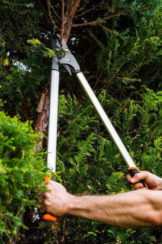 ÁGVÁGÓ, ÁTTÉTELES, MELLÉVÁGÓ 765mm, VÁGÓKAPACITÁS: 40mm, alumínium nyél, teflon bevonat