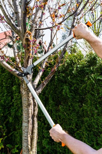 ÁGVÁGÓ, áttételes, RÁVÁGÓ 765mm, VÁGÓKAPACITÁS:40mm, alumínium nyél, teflon bevonat, 60%