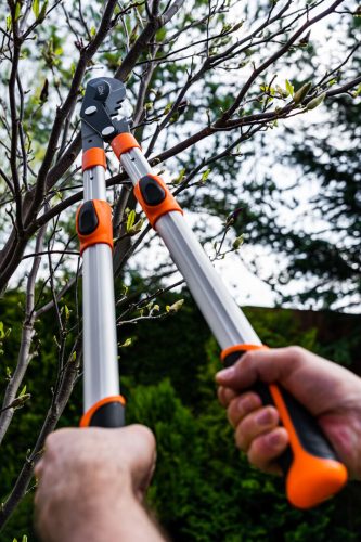 ÁGVÁGÓ, áttételes, mellévágó, teleszkópos 665-965mm, VÁGÓKAPACITÁS:42mm, alumínium nyél, teflon