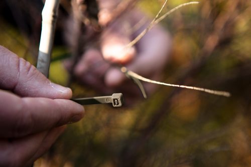 Kerti kötegelő, gyorskötöző 4.8x300mm, 50db, barna