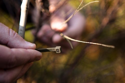 Kerti kötegelő, gyorskötöző 4.8x160mm, 50db, barna
