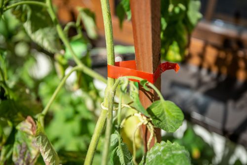 Kézi növénykötöző gép, 25m szalag + 200db kapocs,