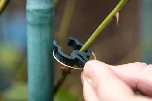 Palántarögzítő klipsz készlet, 20db (10kicsi, 10nagy)