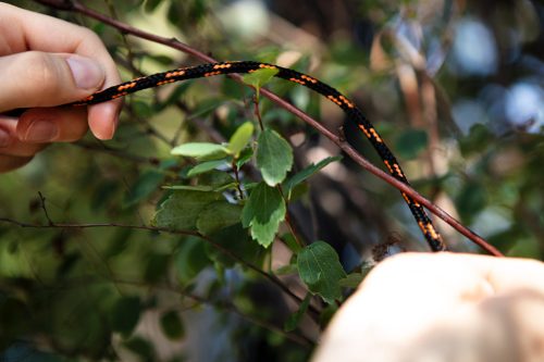 Kötél, fonatolt polipropilén 6mm/ 300m