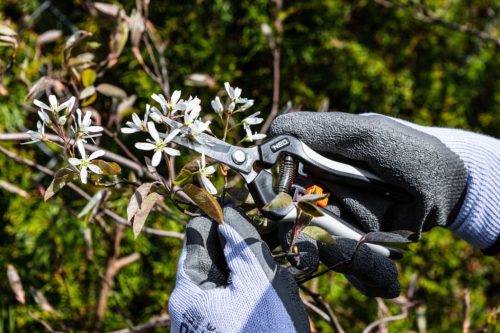 Munkakesztyű, latexbevonatú pamut polyesterrel,2143X, méret: 9