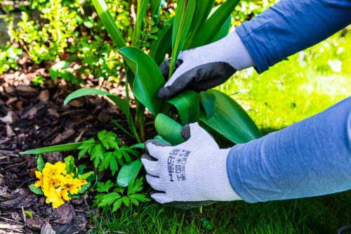 Munkakesztyű, latexbevonatú pamut polyesterrel,2143X, méret: 9