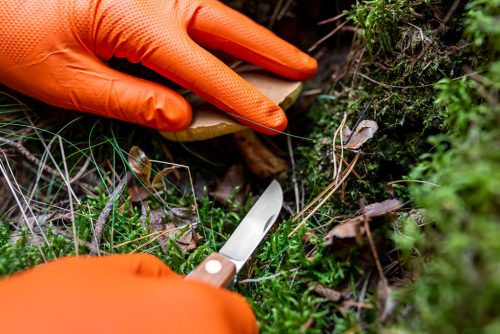 Munkakesztyű, perforált nitril, narancssárga, 50 db, M