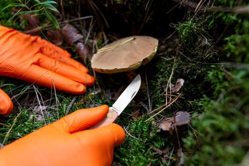 Munkakesztyű, perforált nitril, narancssárga, 50 db, M