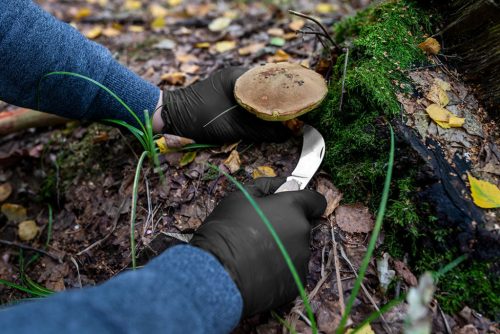 Munkakesztyű, perforált nitril, fekete, 100 db, M
