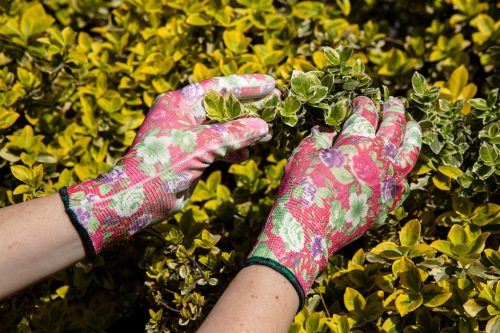 Kertész kesztyű,PU bevonat, rózsamintás, 9"